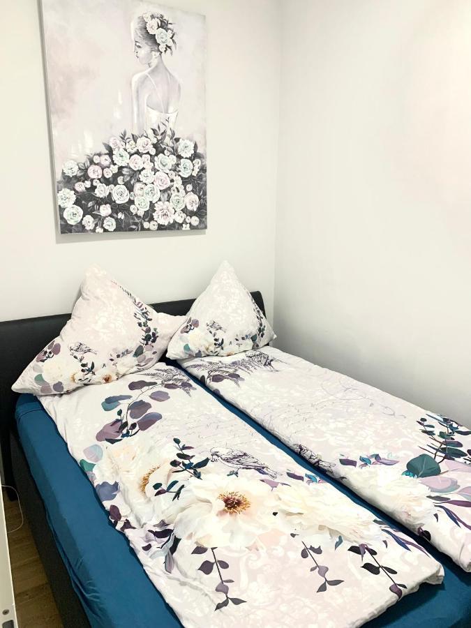Premium Apartment Am Einsiedlerpark 비엔나 외부 사진